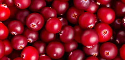 Cranberry Health Benefits – Digestive & Heart Health