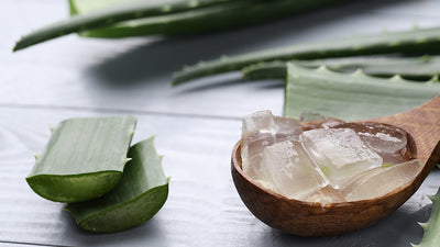 Why Take Aloe?