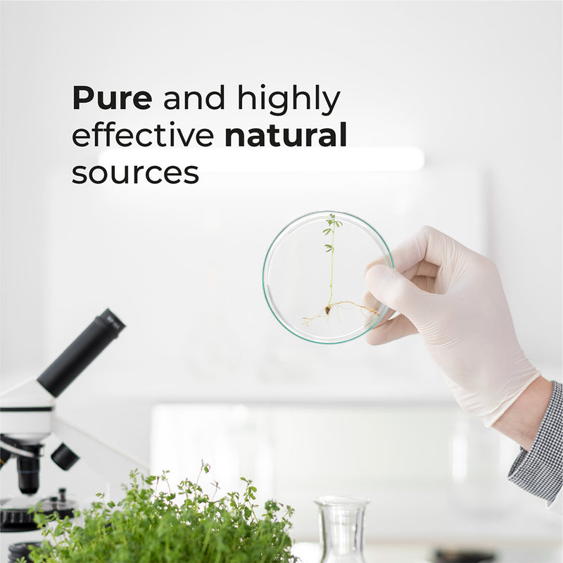 Omega 3 High DHA