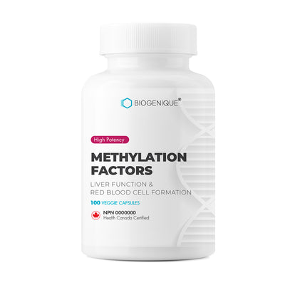 Facteurs de méthylation