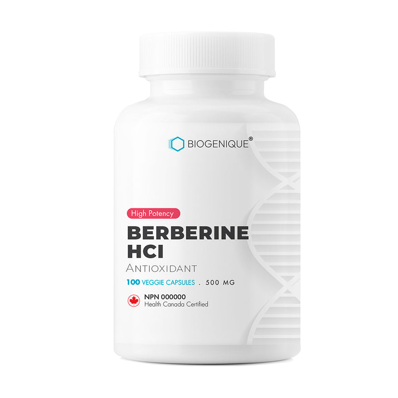 HCI berbérine