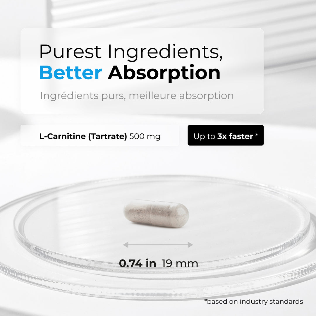 cga l-carnitine egcg Vbyotics Acetyl L-Carnitine 60caps main image 0