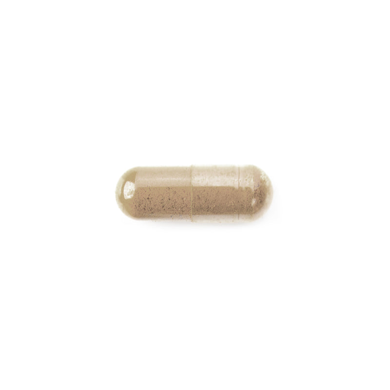 Maca